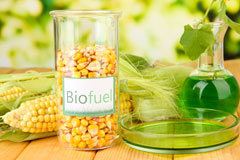 Castleton biofuel availability